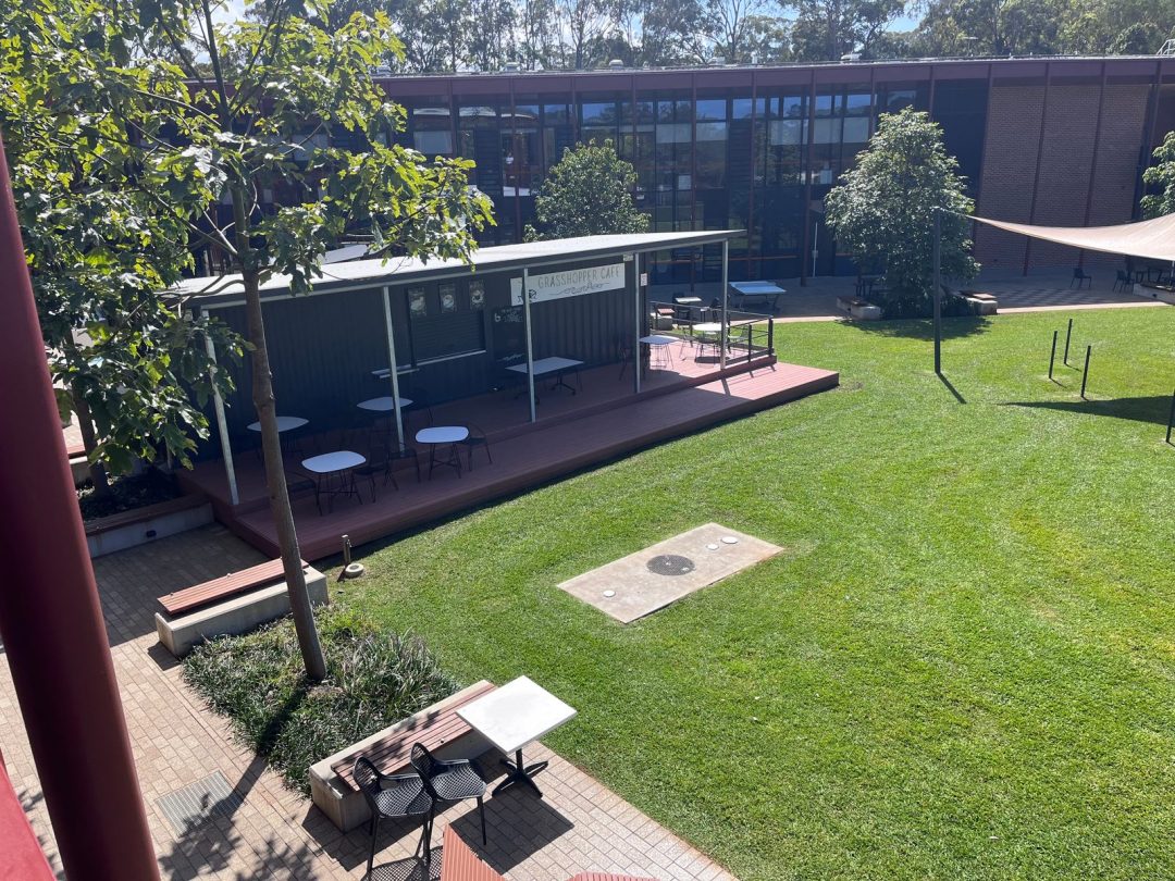 Aerial view of a dark container cafe signed Grasshopper Cafe, with a skillion-roof covered deck and outdoor tables on a lawn beside a brick and glass building