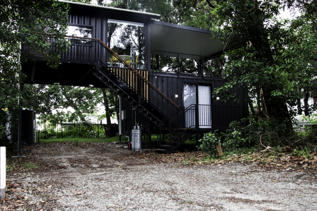 Tree-House-2